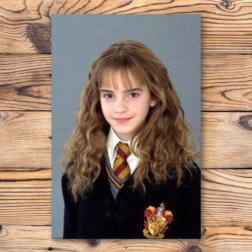 Harry Potter Hermione Granger Refrigerator Locker Fridge Magnet